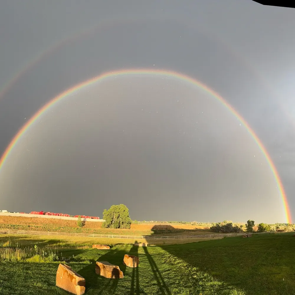 vjrods8.bsky.social's profile picture