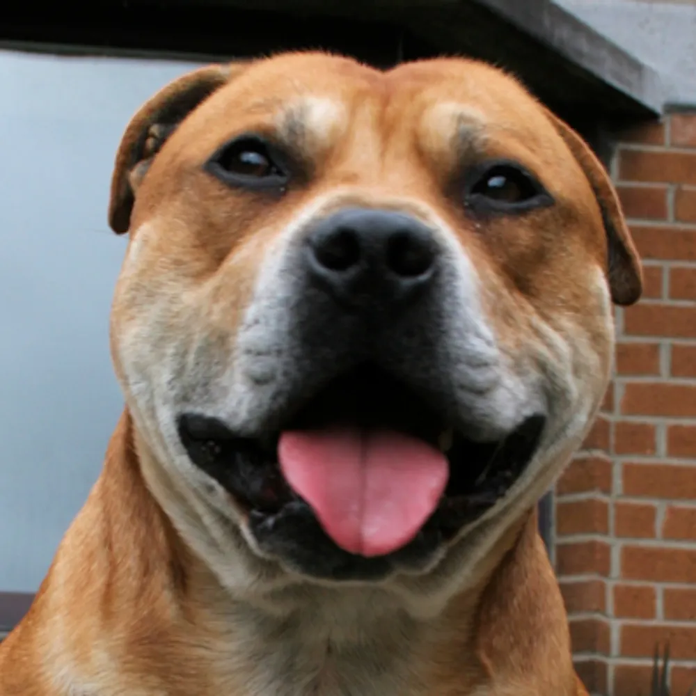 iotechris.bsky.social's profile picture