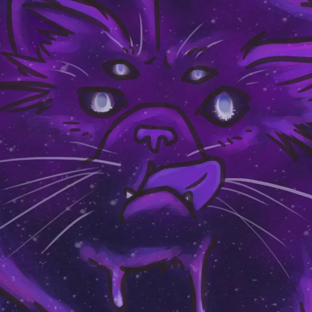 catnamednorris.bsky.social's profile picture