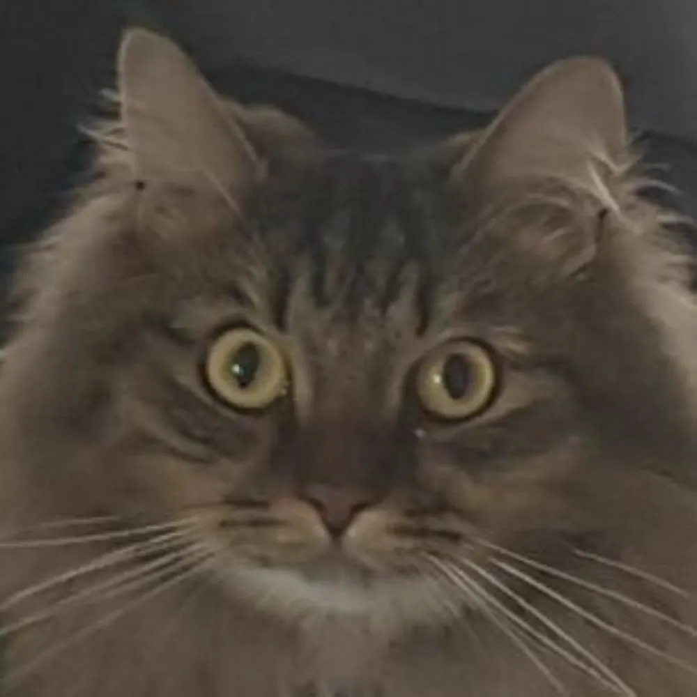 emarktaylor.bsky.social's profile picture