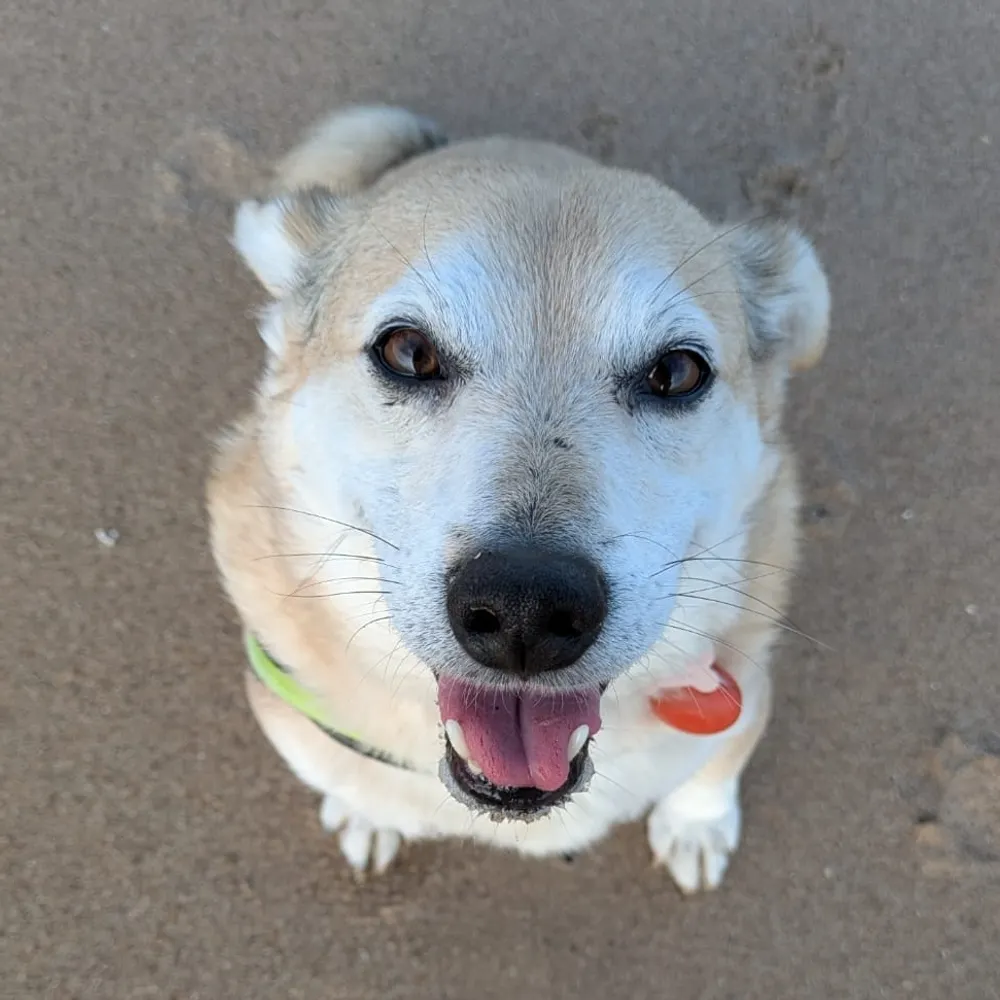 monstermonster.bsky.social's profile picture