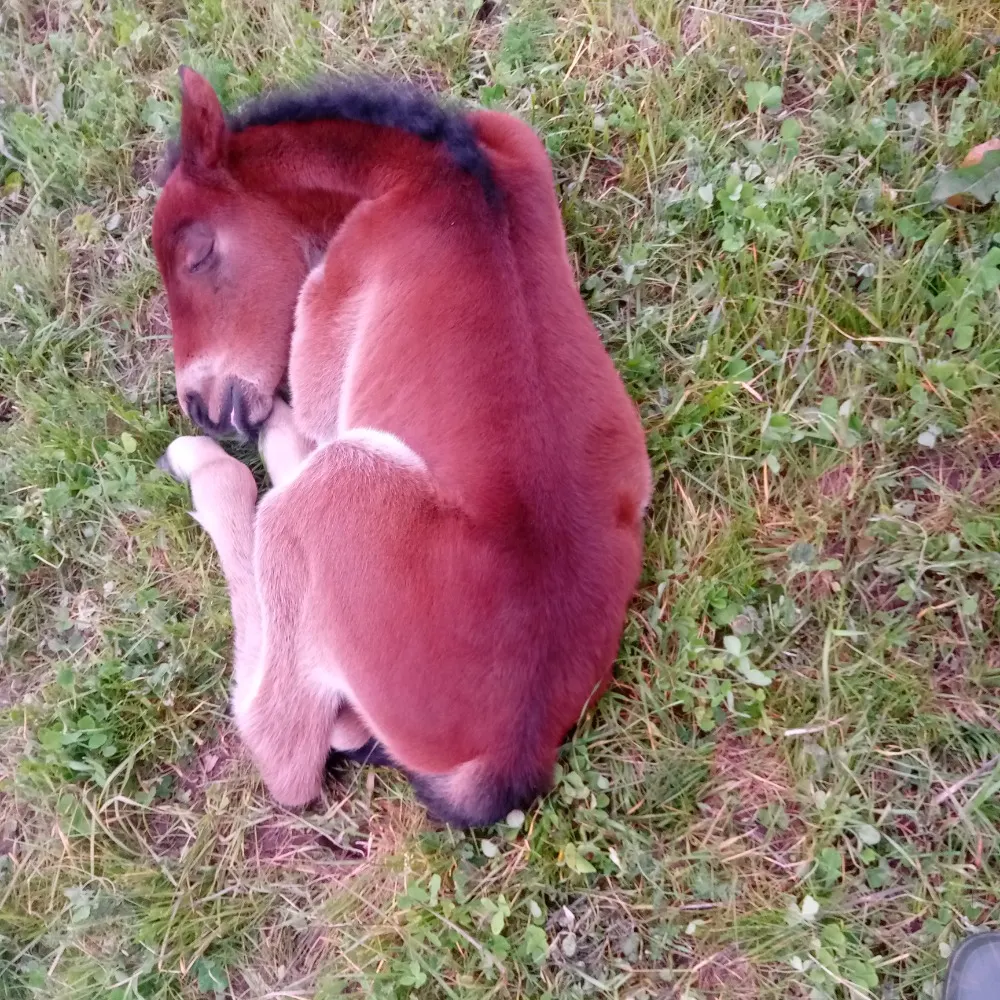 susansmith65.bsky.social's profile picture