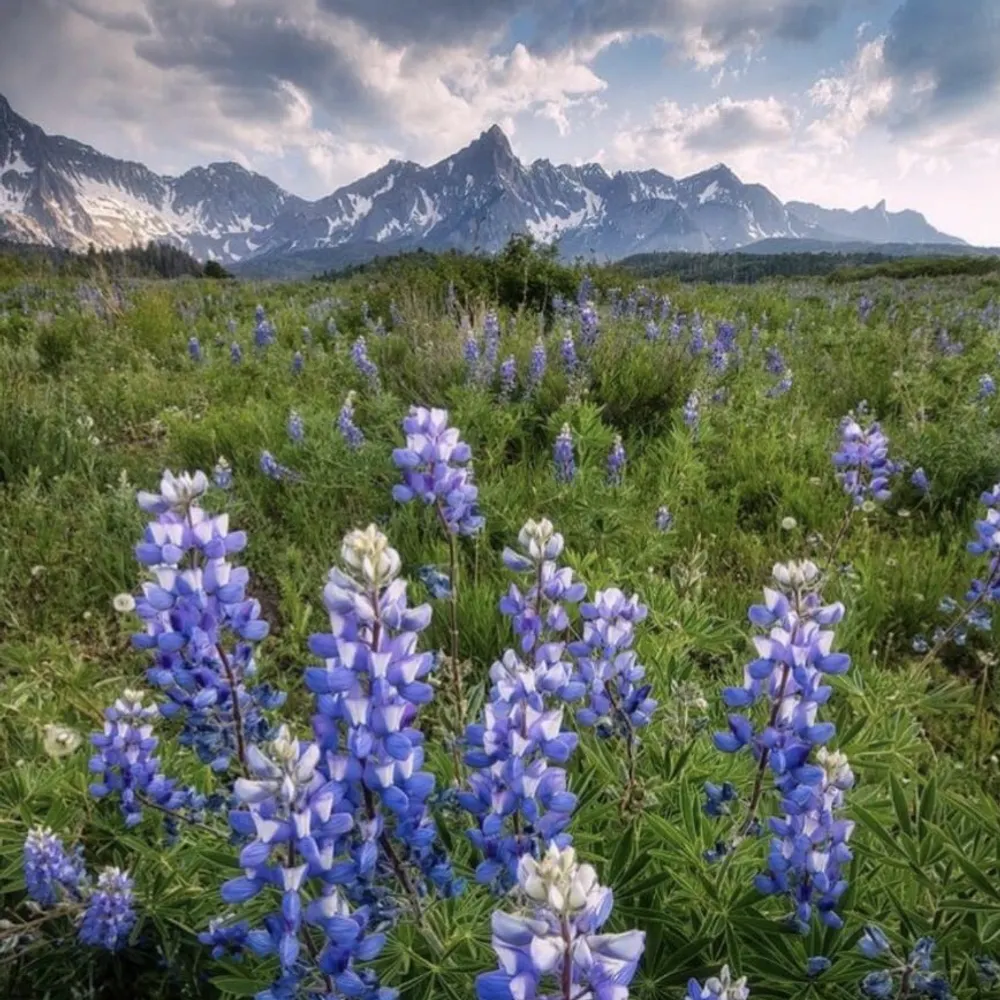 sarabjustone.bsky.social's profile picture