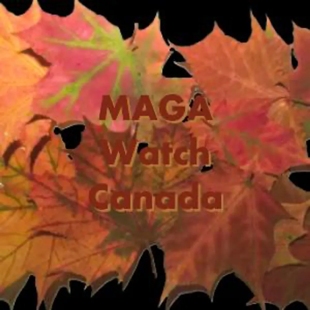 magawatchcanada.bsky.social's profile picture