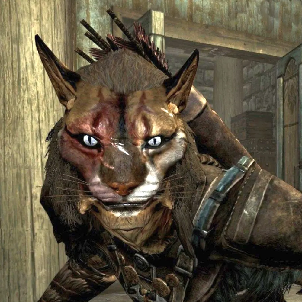 nezaroo.bsky.social's profile picture