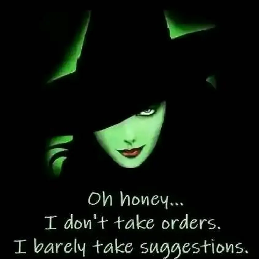 wynterravensong.bsky.social's profile picture