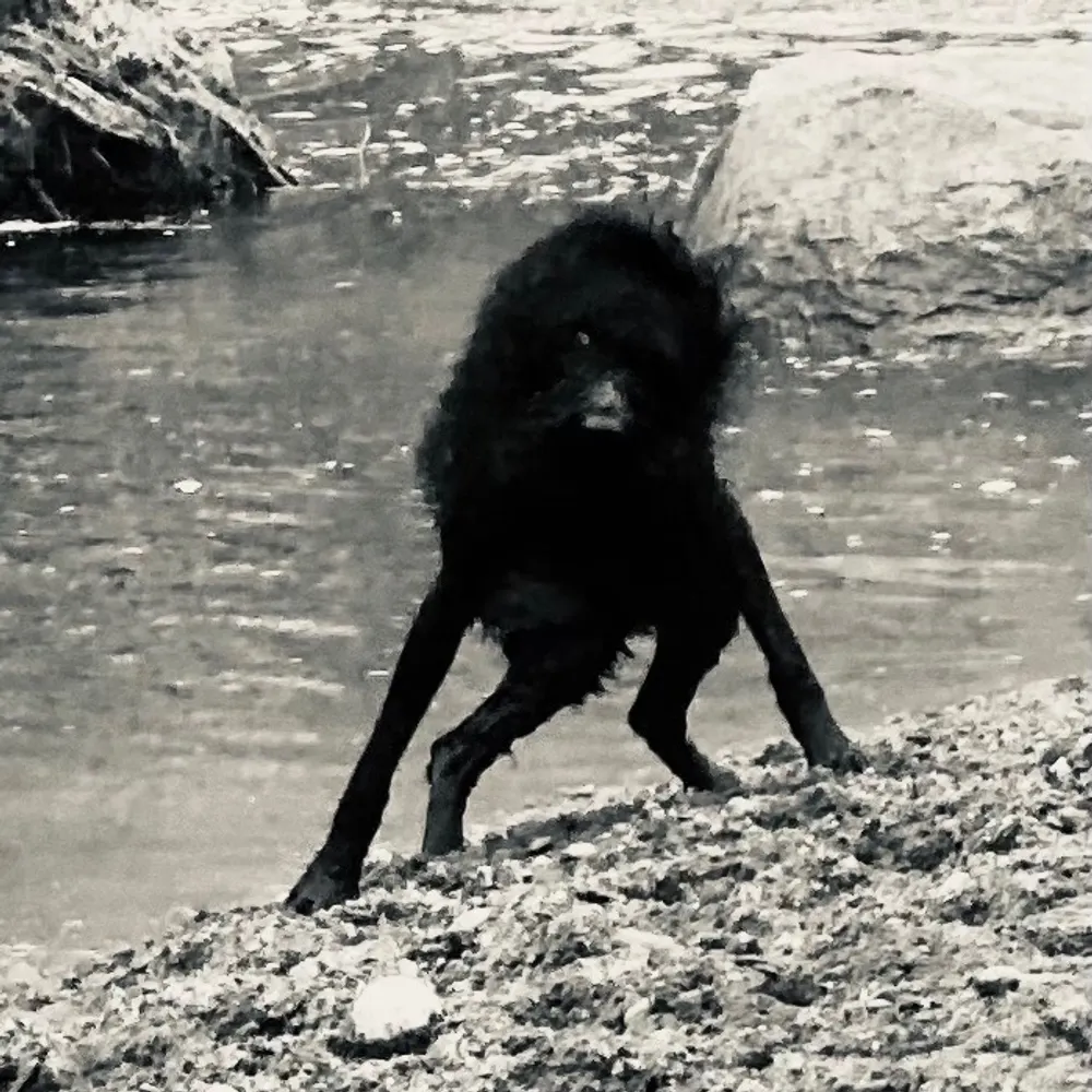 kellylink.bsky.social's profile picture