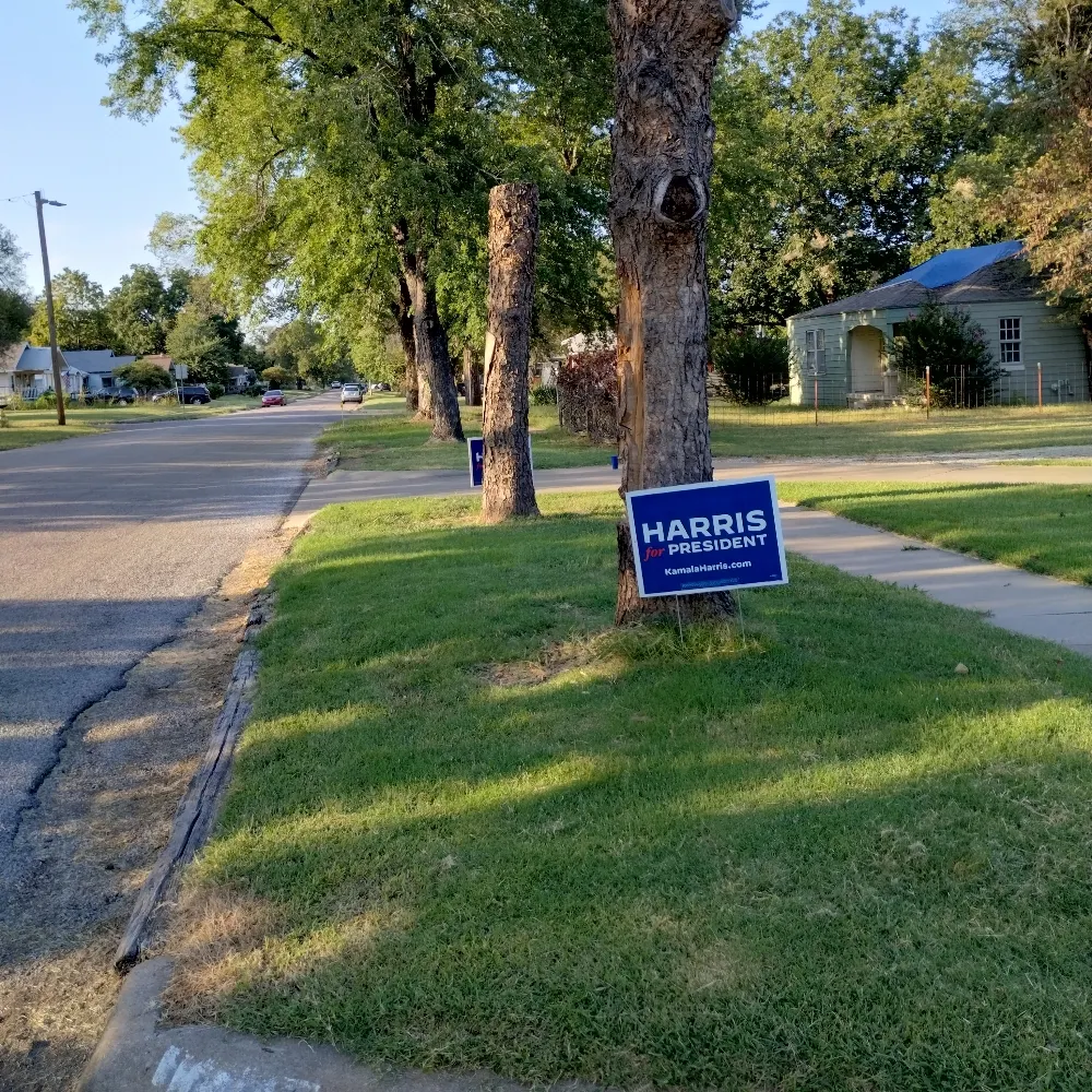 forseofone.bsky.social's profile picture