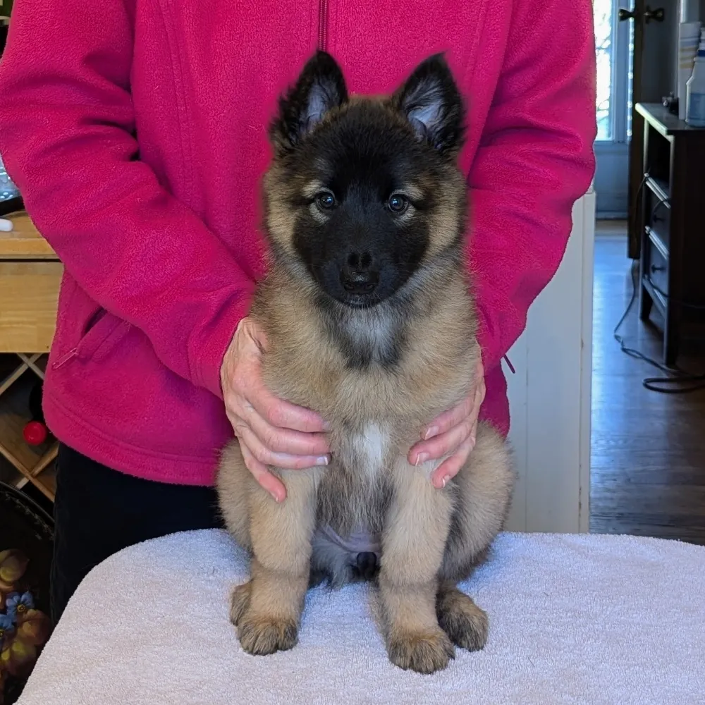 carileemoran.bsky.social's profile picture