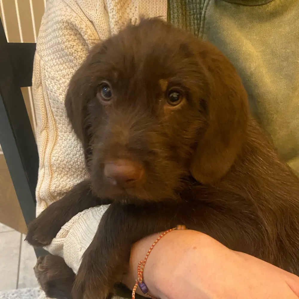 devon123.bsky.social's profile picture