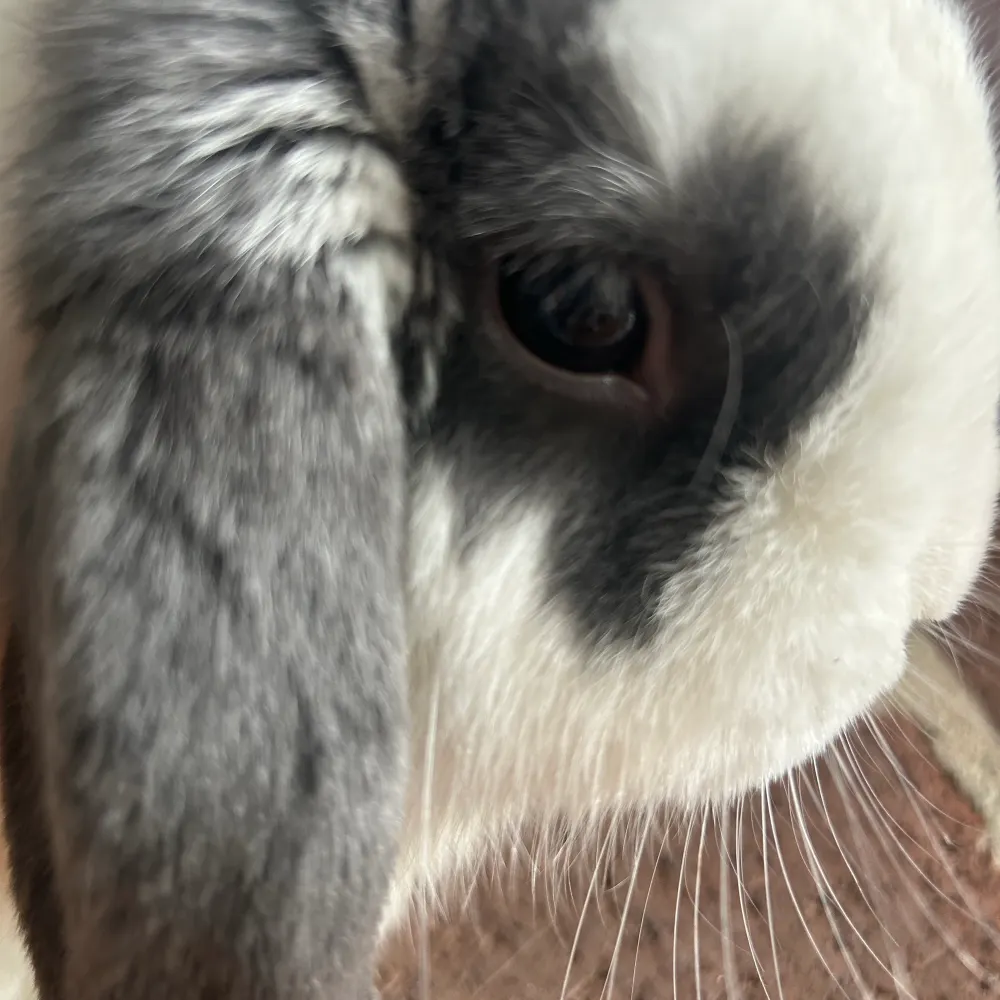 mariwhitehurst1.bsky.social's profile picture