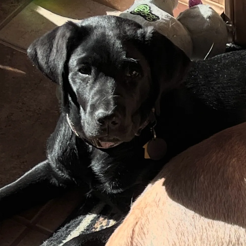 adkraine.bsky.social's profile picture