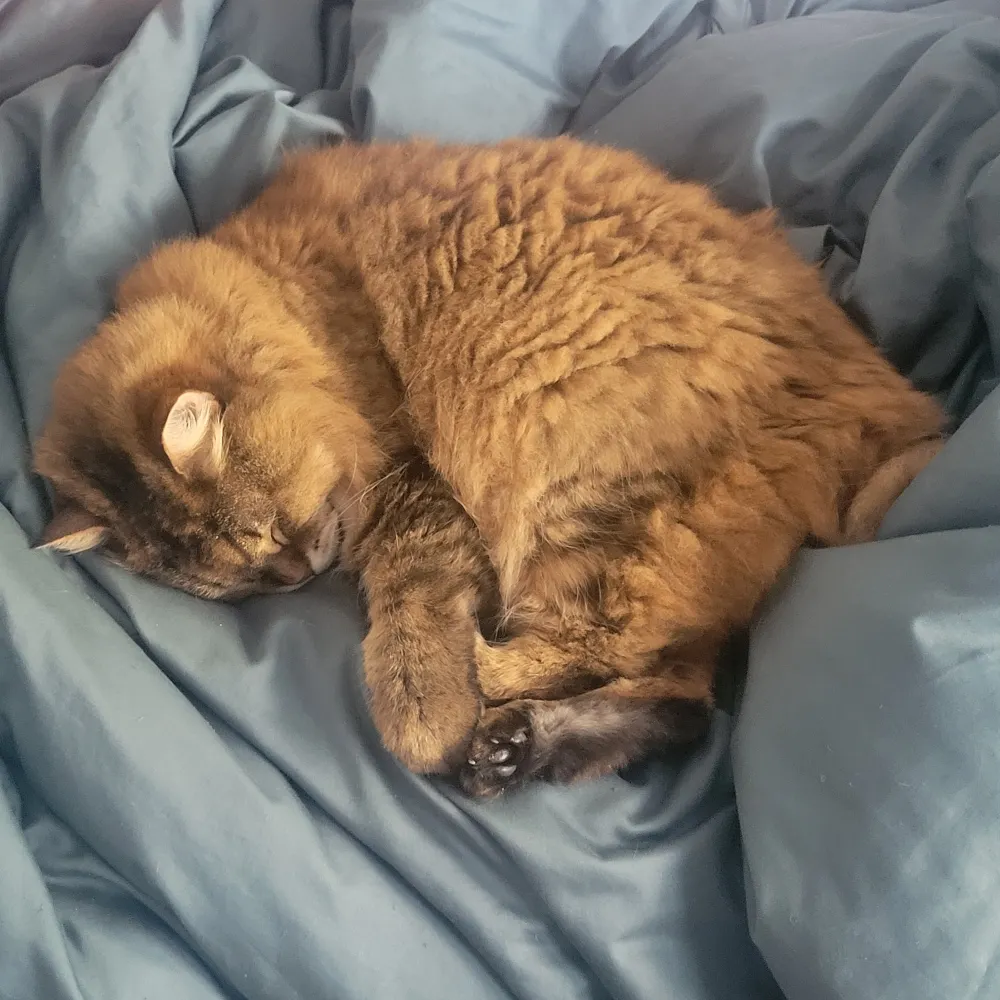 hotsoupesq.bsky.social's profile picture