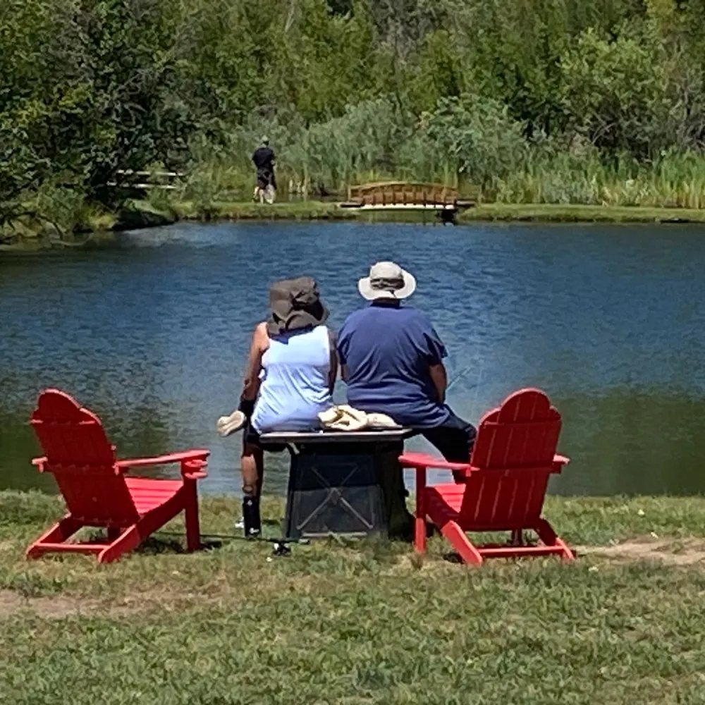 terilm.bsky.social's profile picture