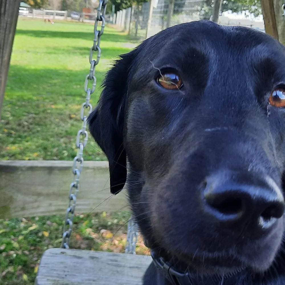 cs-lowball17.bsky.social's profile picture