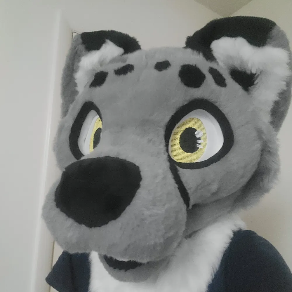 jreembug.bsky.social's profile picture