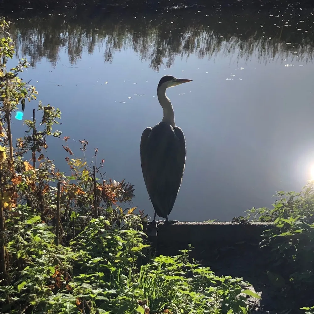 james-bg.bsky.social's profile picture