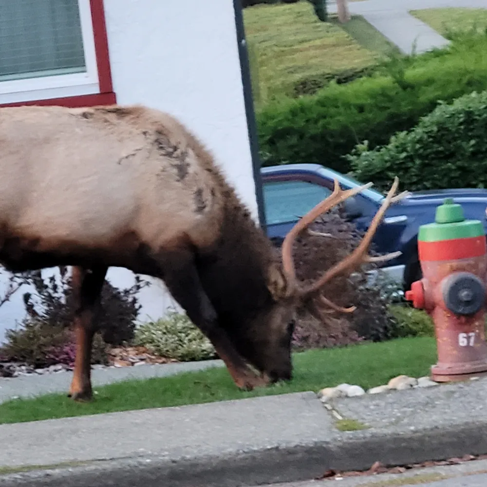 seekingsanity33232.bsky.social's profile picture