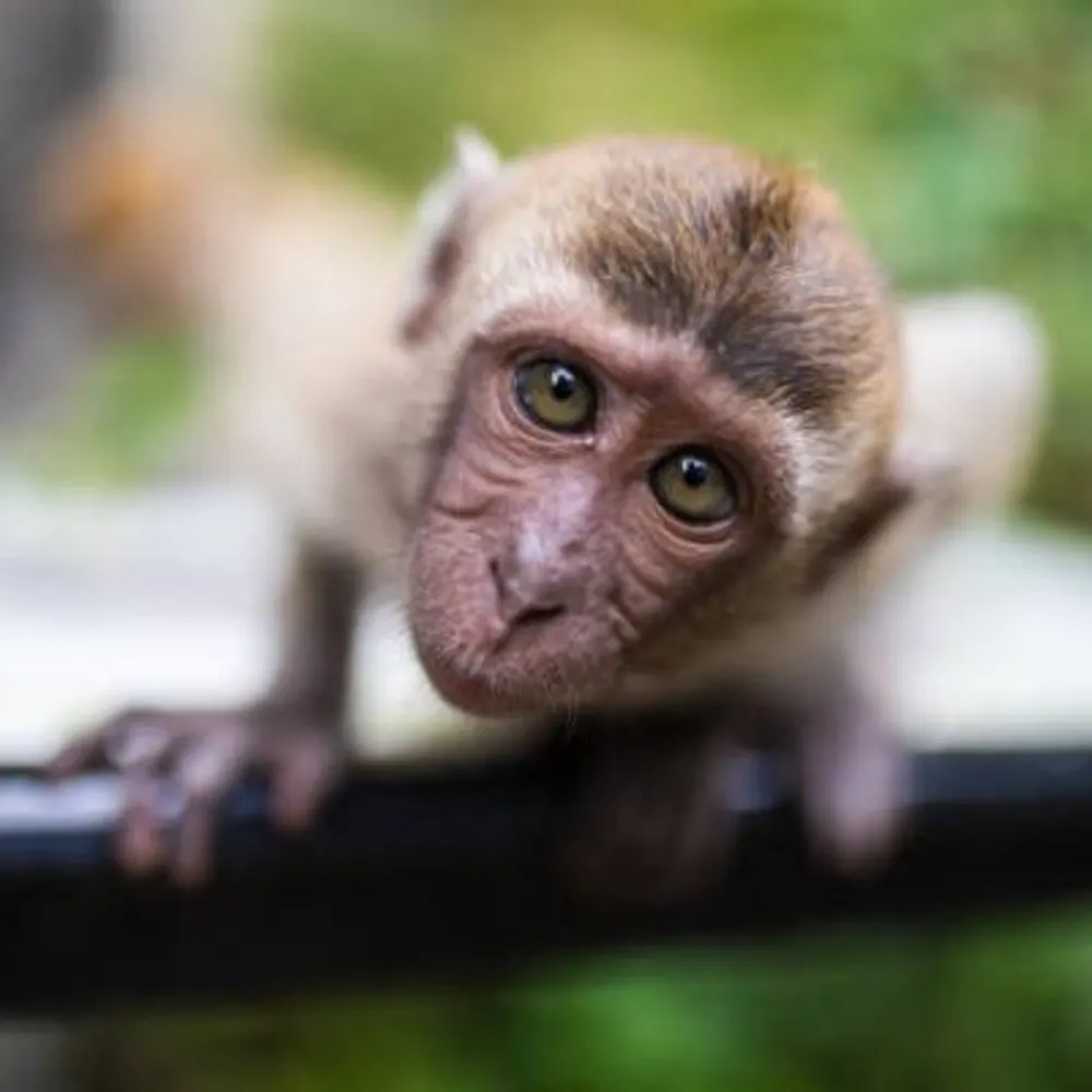 curiousdoubter.bsky.social's profile picture