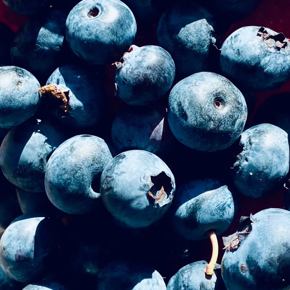 blueberrysyrup.bsky.social's profile picture