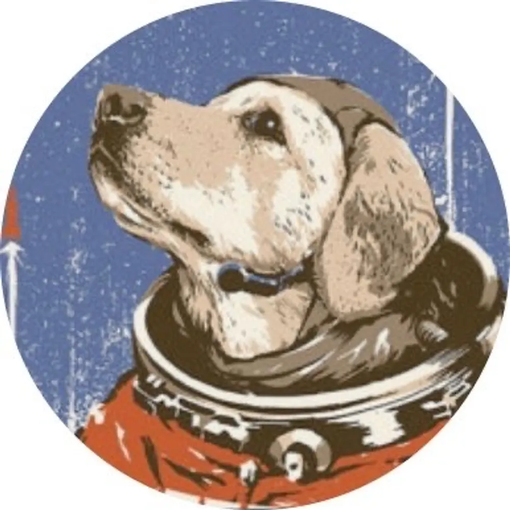 spacefordogs.bsky.social's profile picture