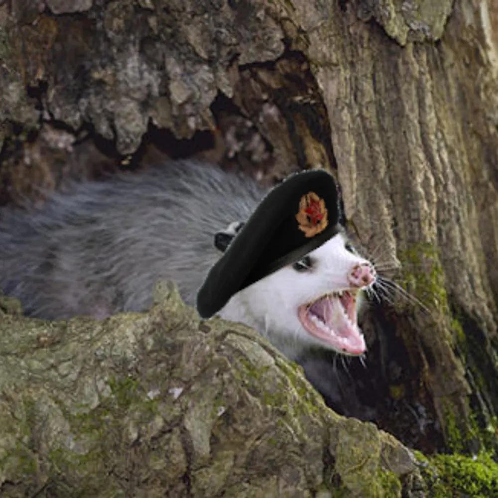 genossum.eurosky.social's profile picture