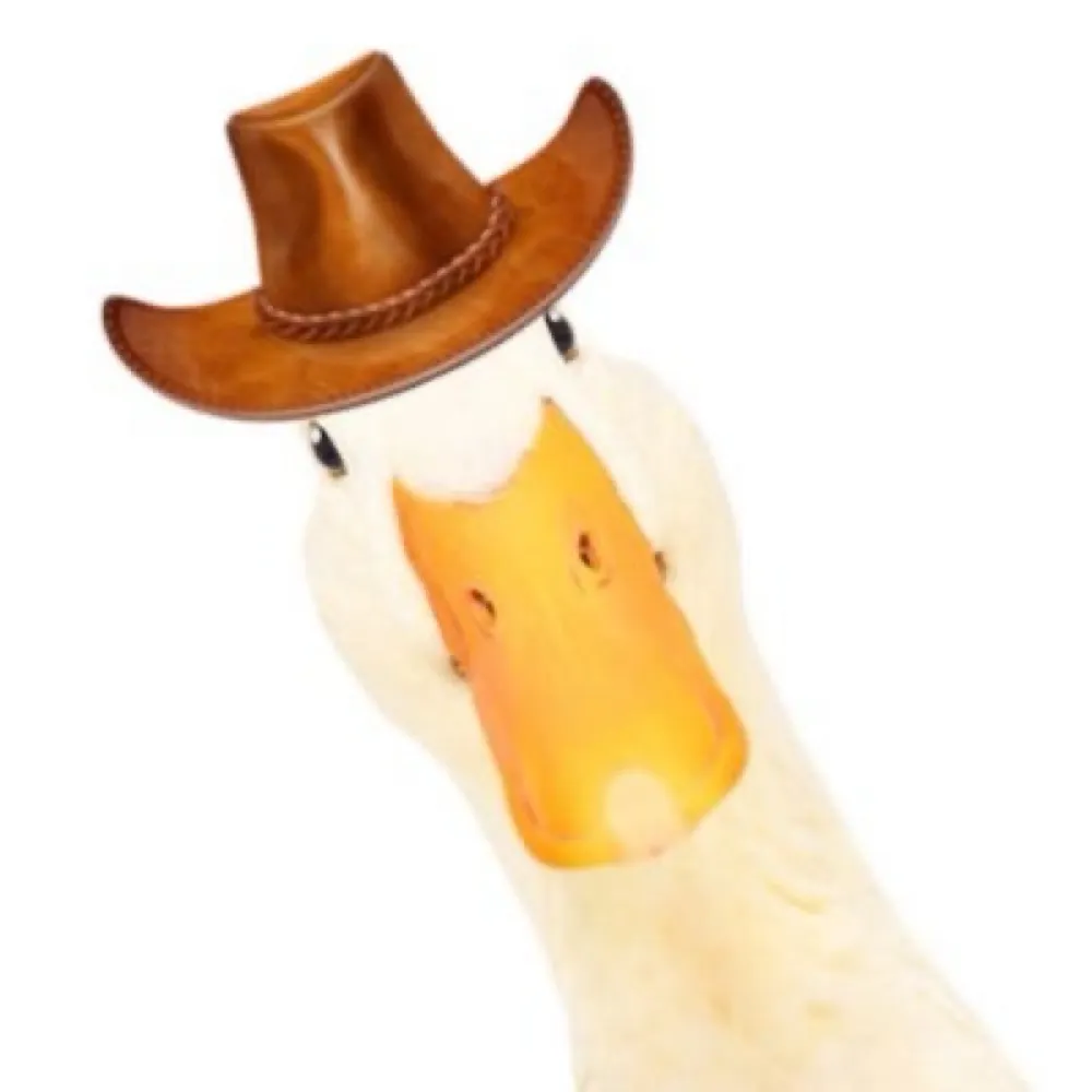 duckywinks.bsky.social's profile picture