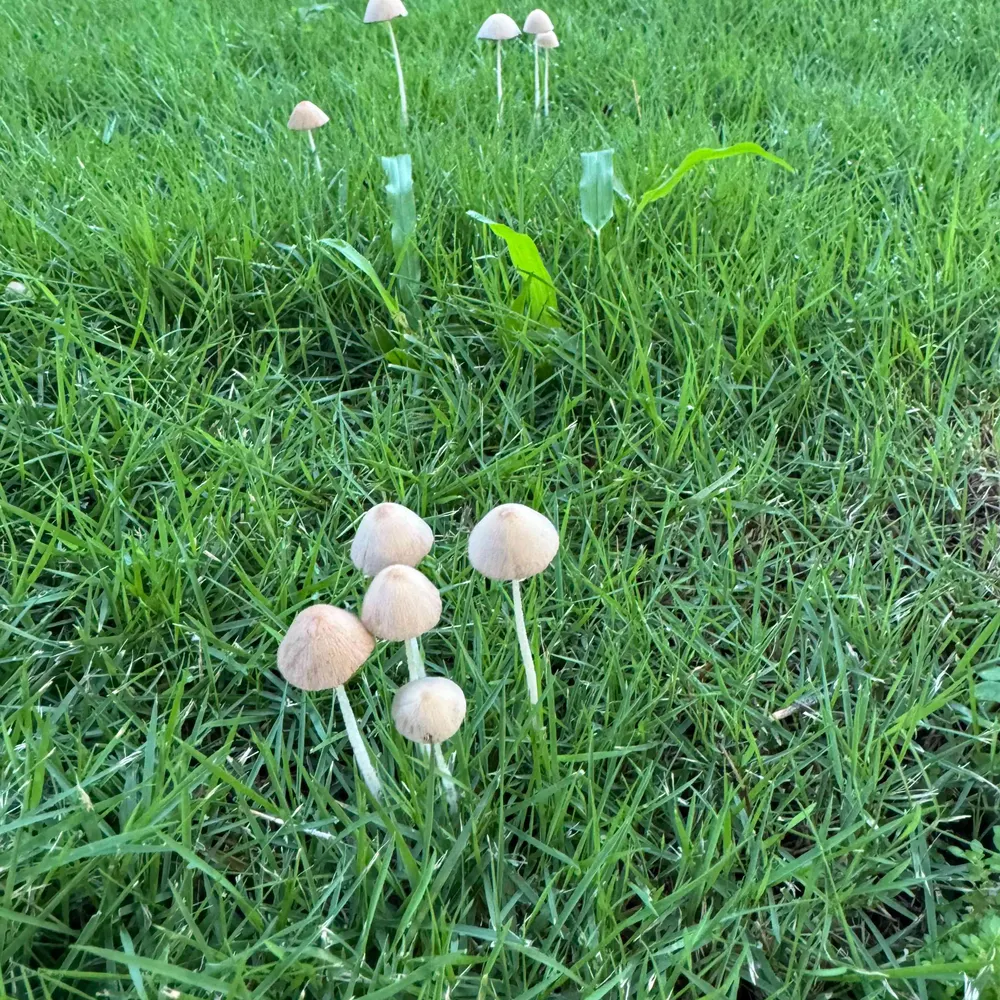 debdebs.bsky.social's profile picture