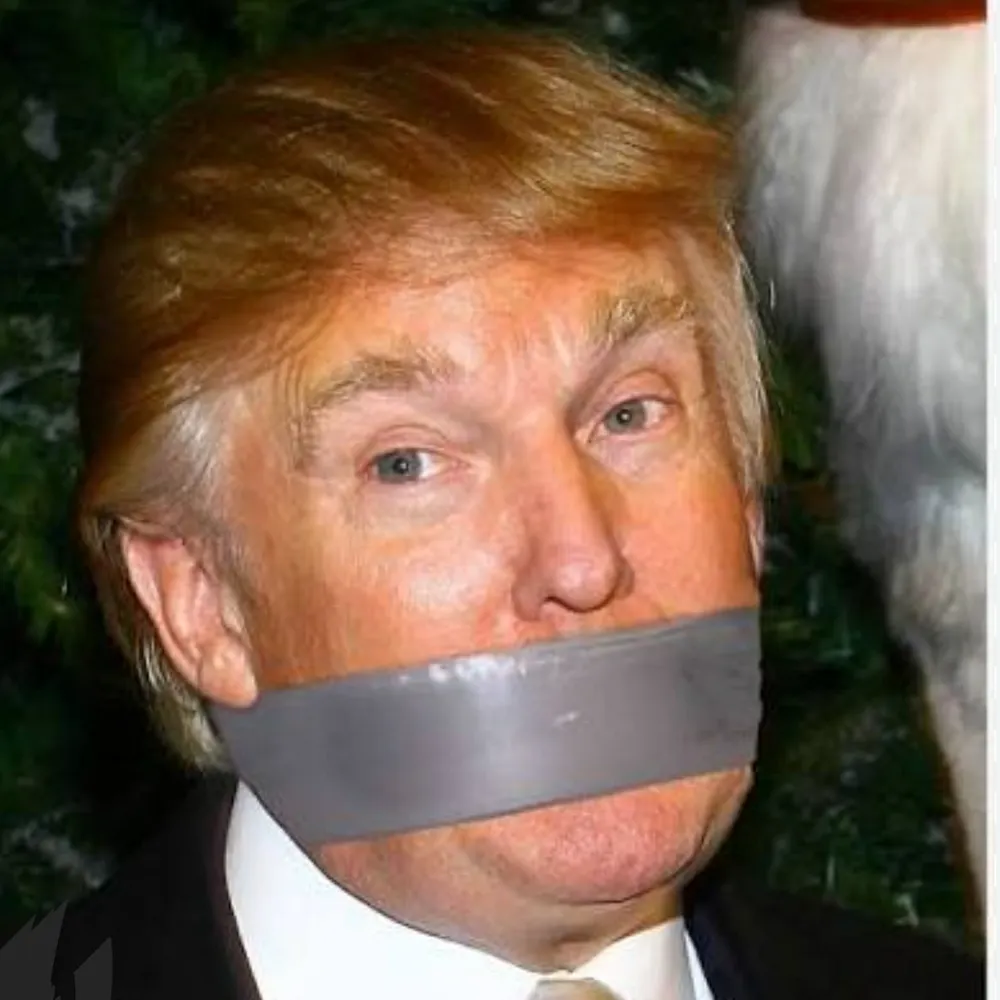 foggthat.bsky.social's profile picture