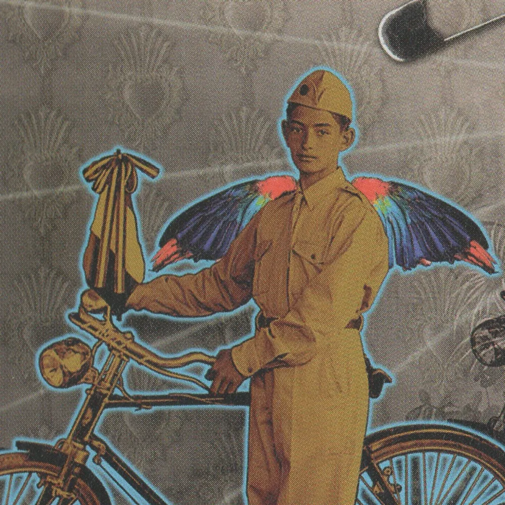 junipefin.bsky.social's profile picture