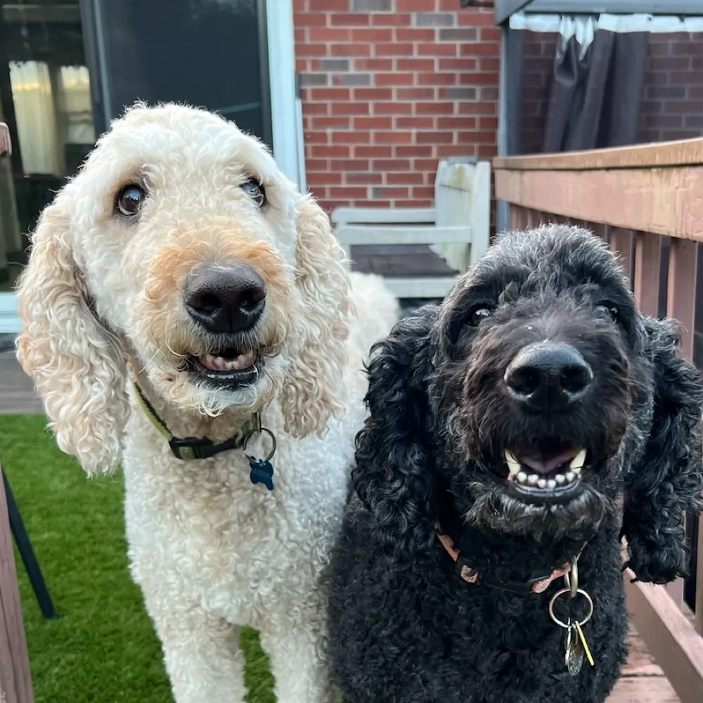 daisymurphy.bsky.social's profile picture