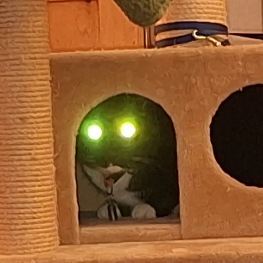 swimpassion.bsky.social's profile picture