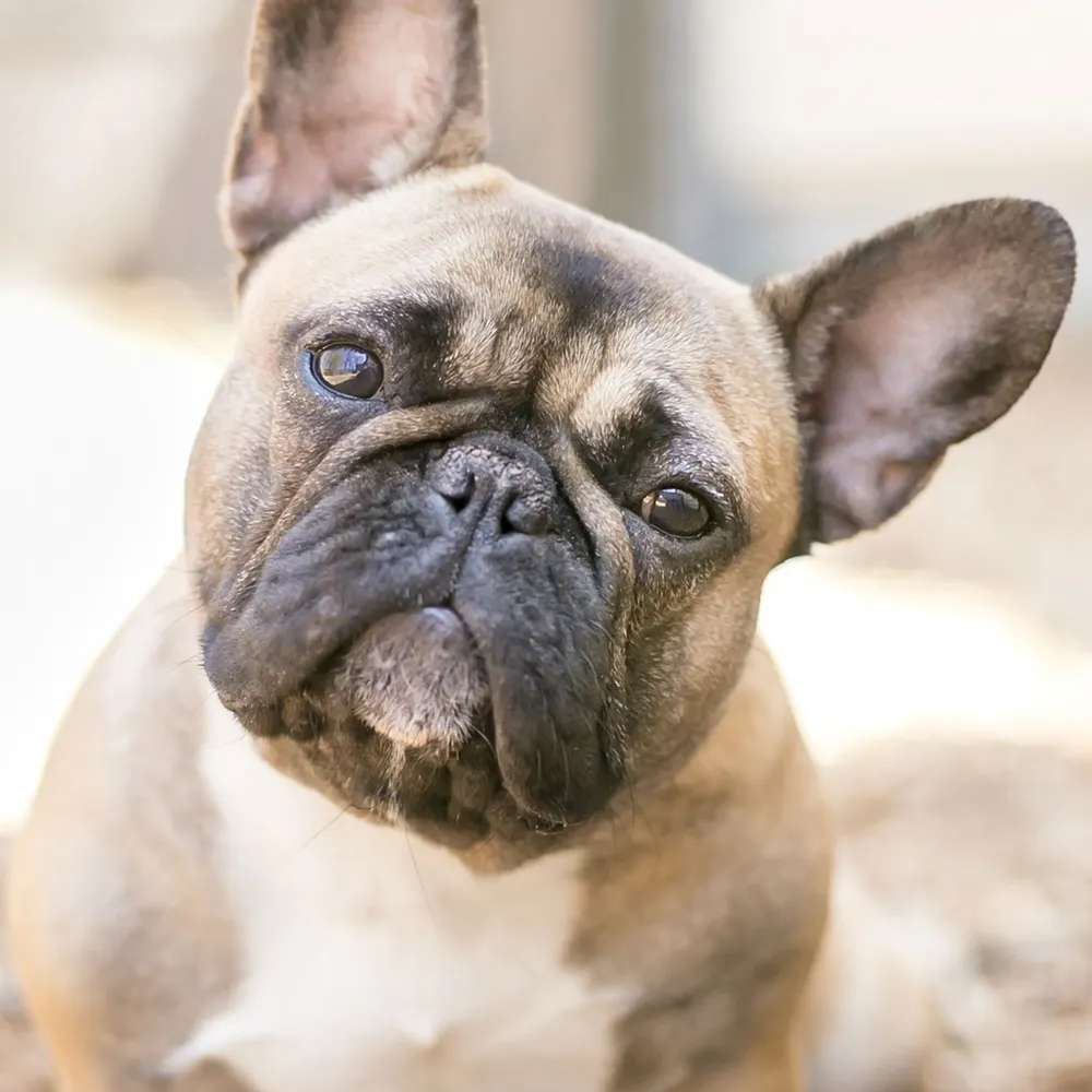 mattymartin415.bsky.social's profile picture