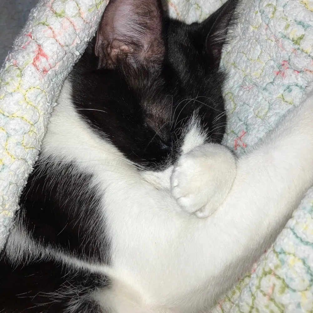 salentz.bsky.social's profile picture