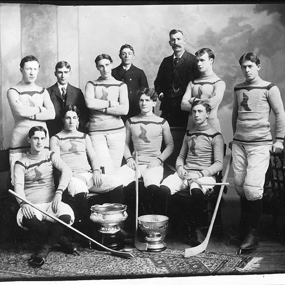 michelvigneault.bsky.social's profile picture