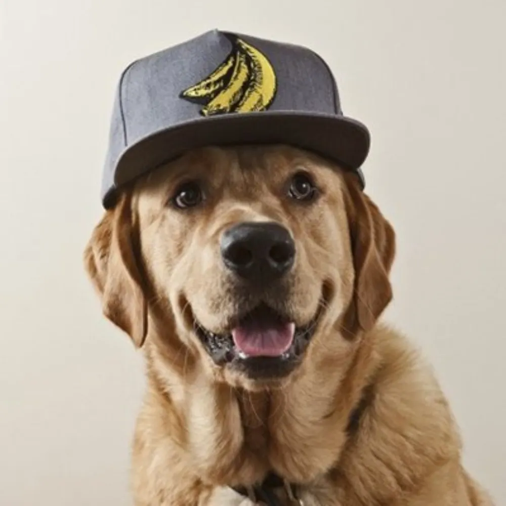 devinmcintyre.bsky.social's profile picture