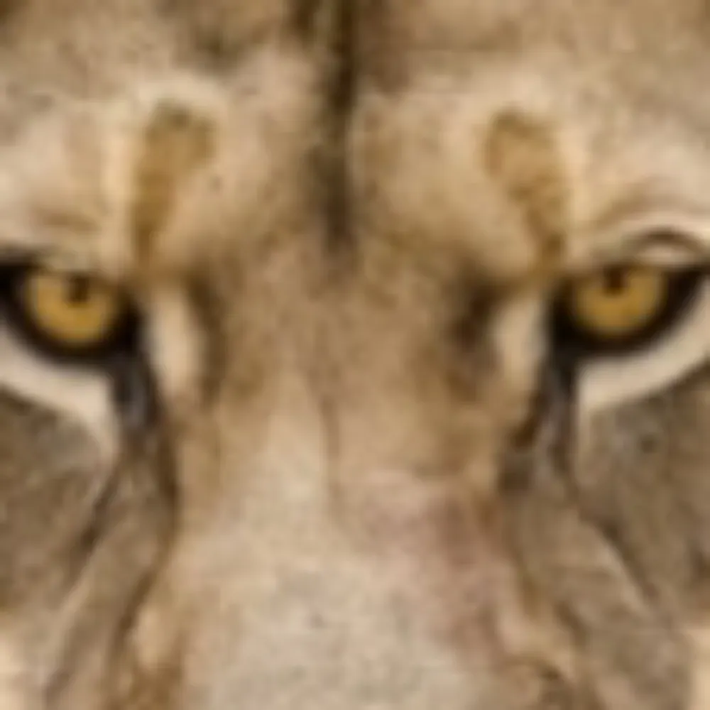 gamegrouch.bsky.social's profile picture