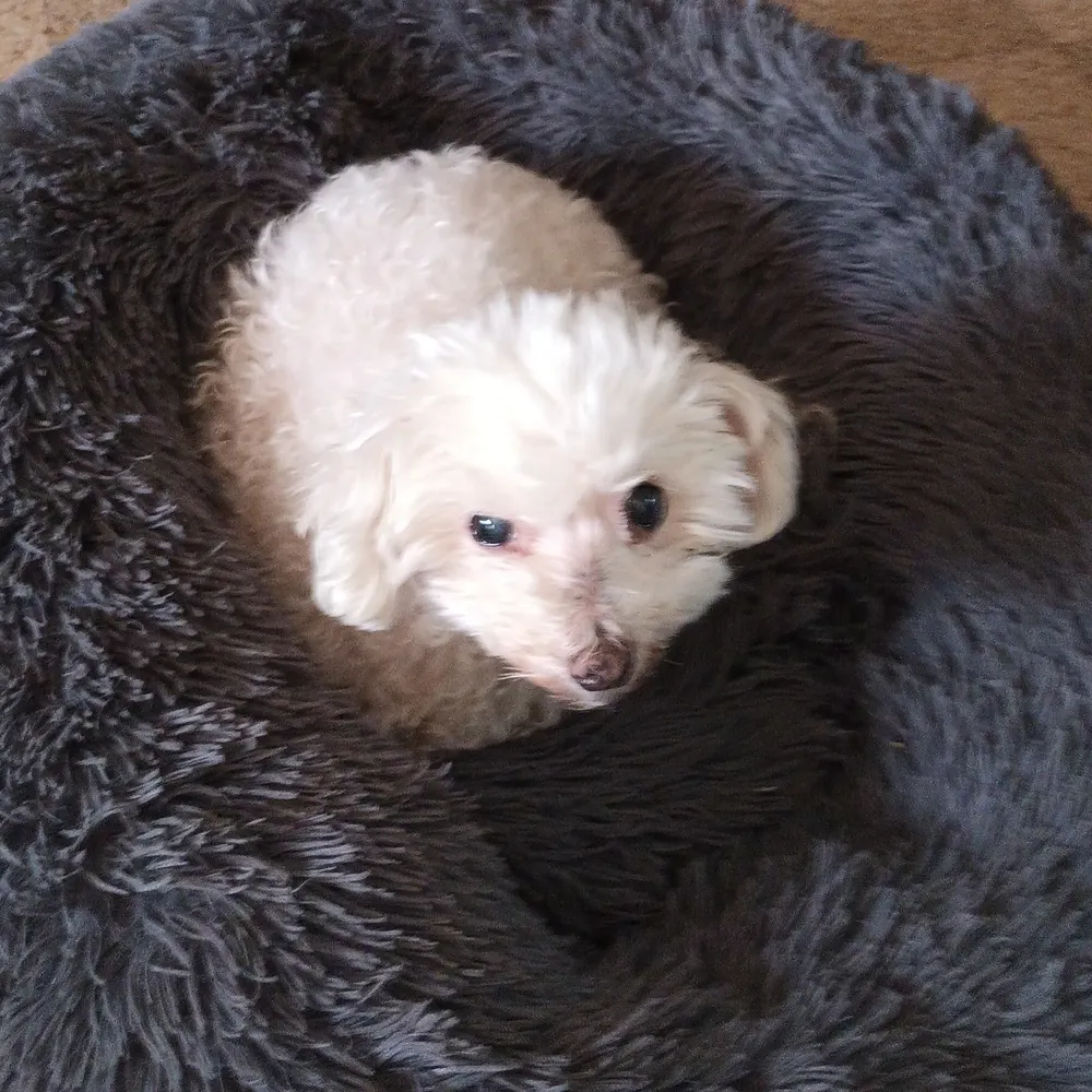 metabaron65.bsky.social's profile picture