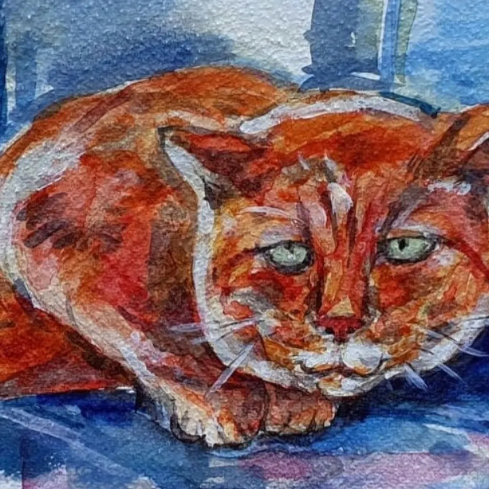 konkretbitte.eurosky.social's profile picture