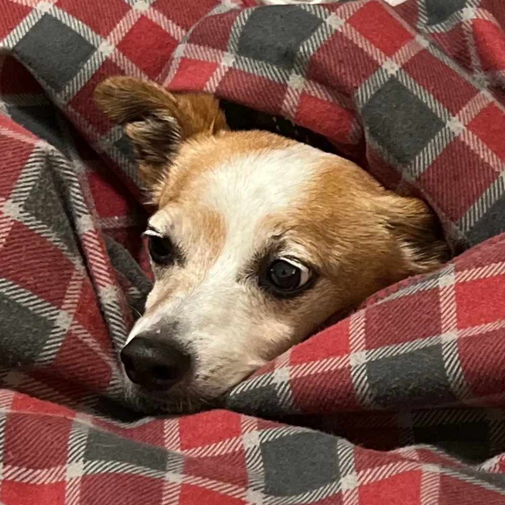 txo.bsky.social's profile picture