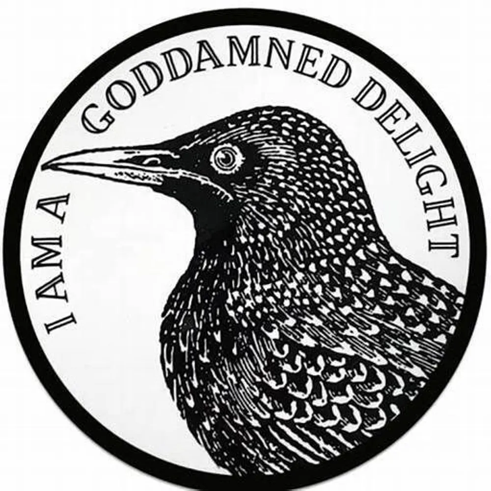 lavenia.dems.social's profile picture