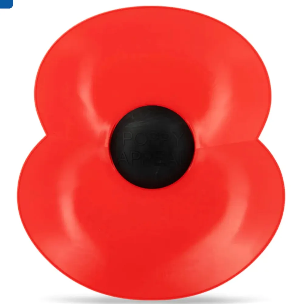 remembrancewatch.bsky.social's profile picture