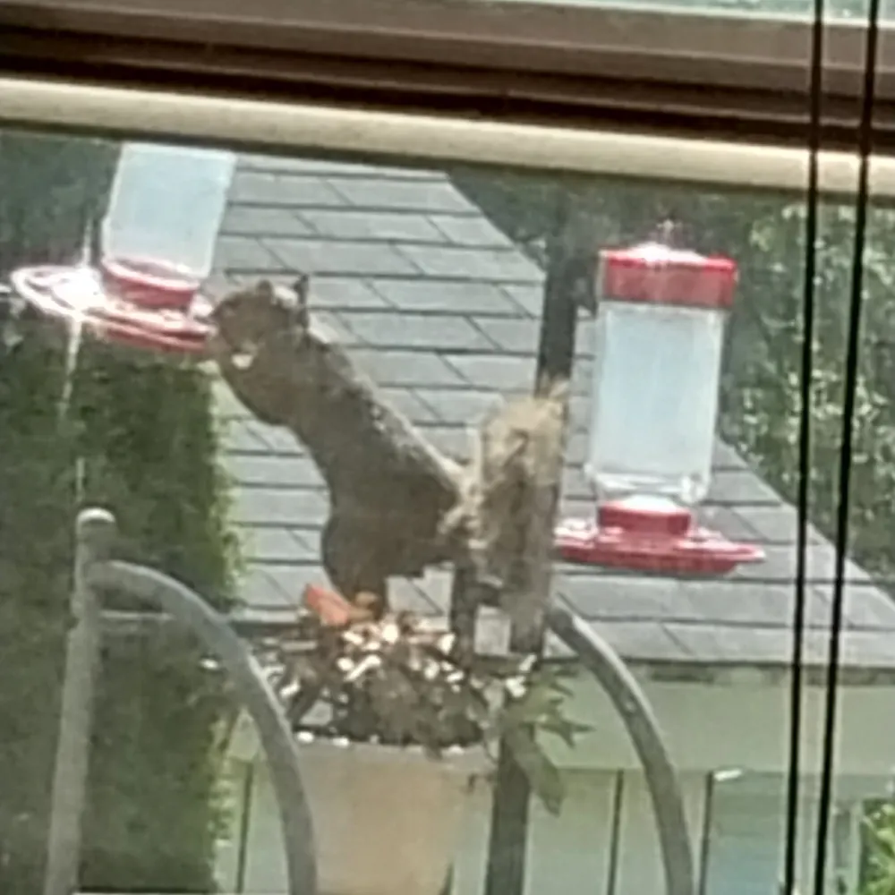 stephers.bsky.social's profile picture