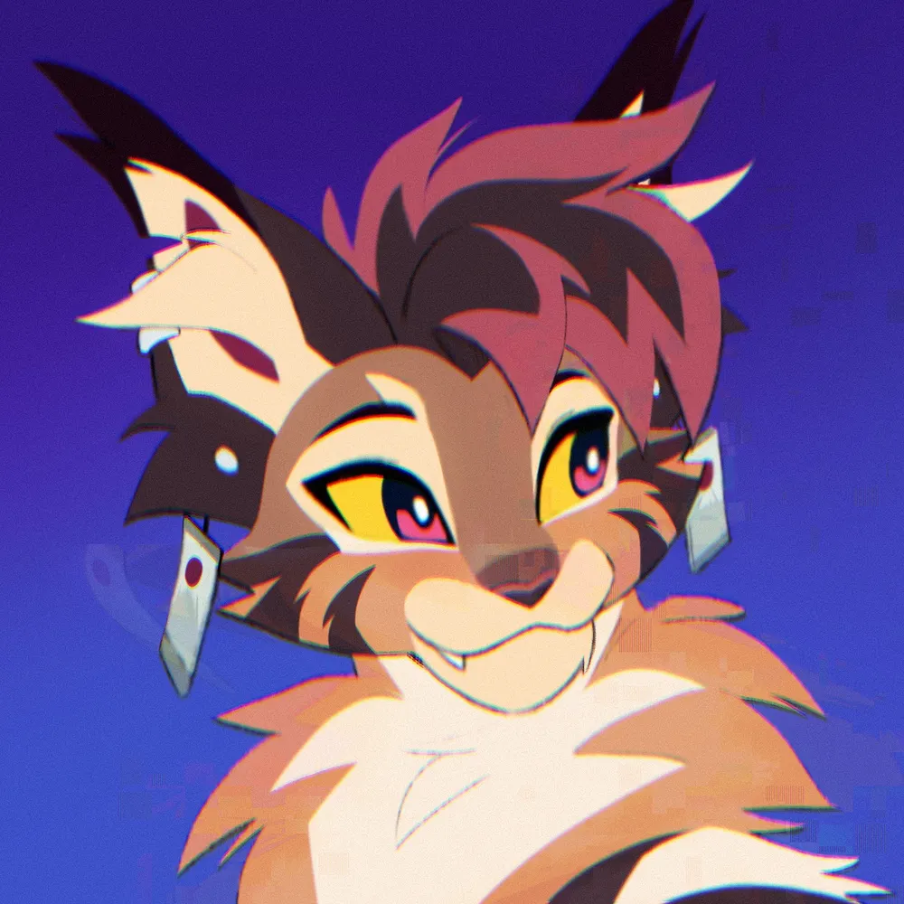 denucard.bsky.social's profile picture