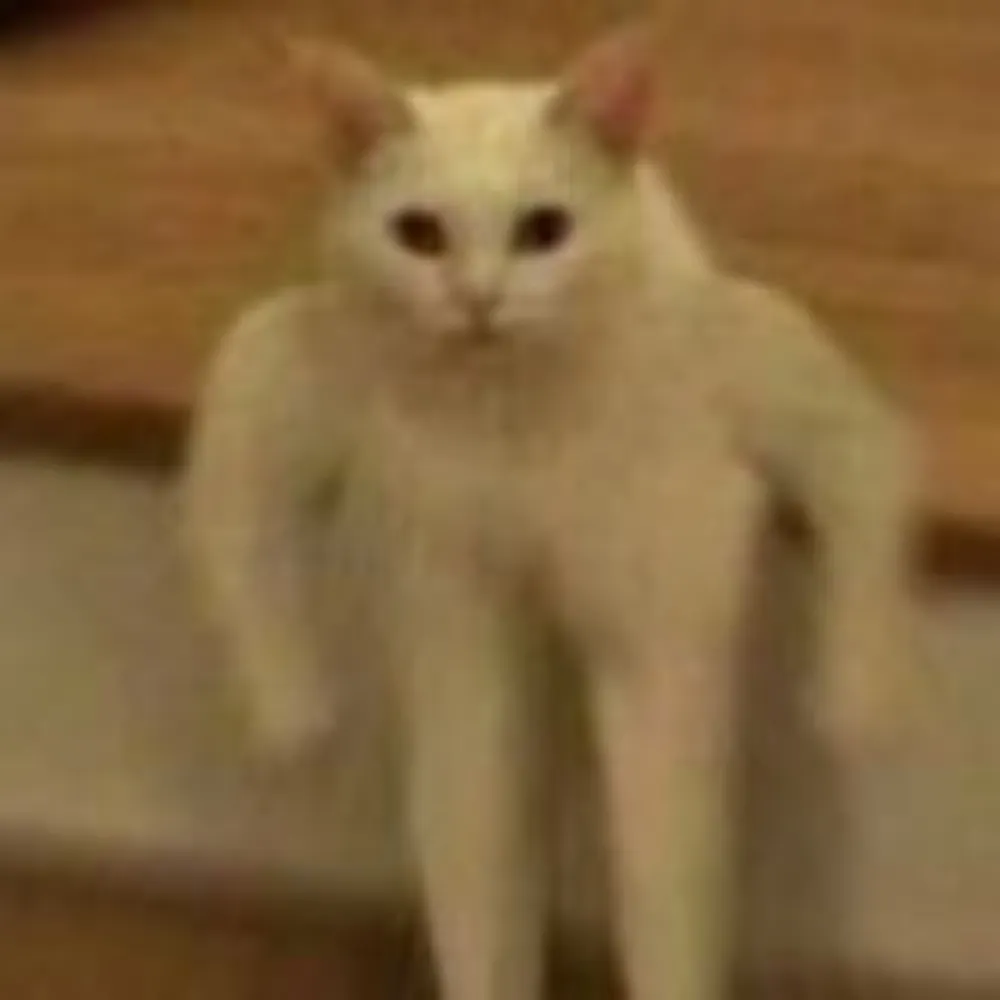 supervx.bsky.social's profile picture