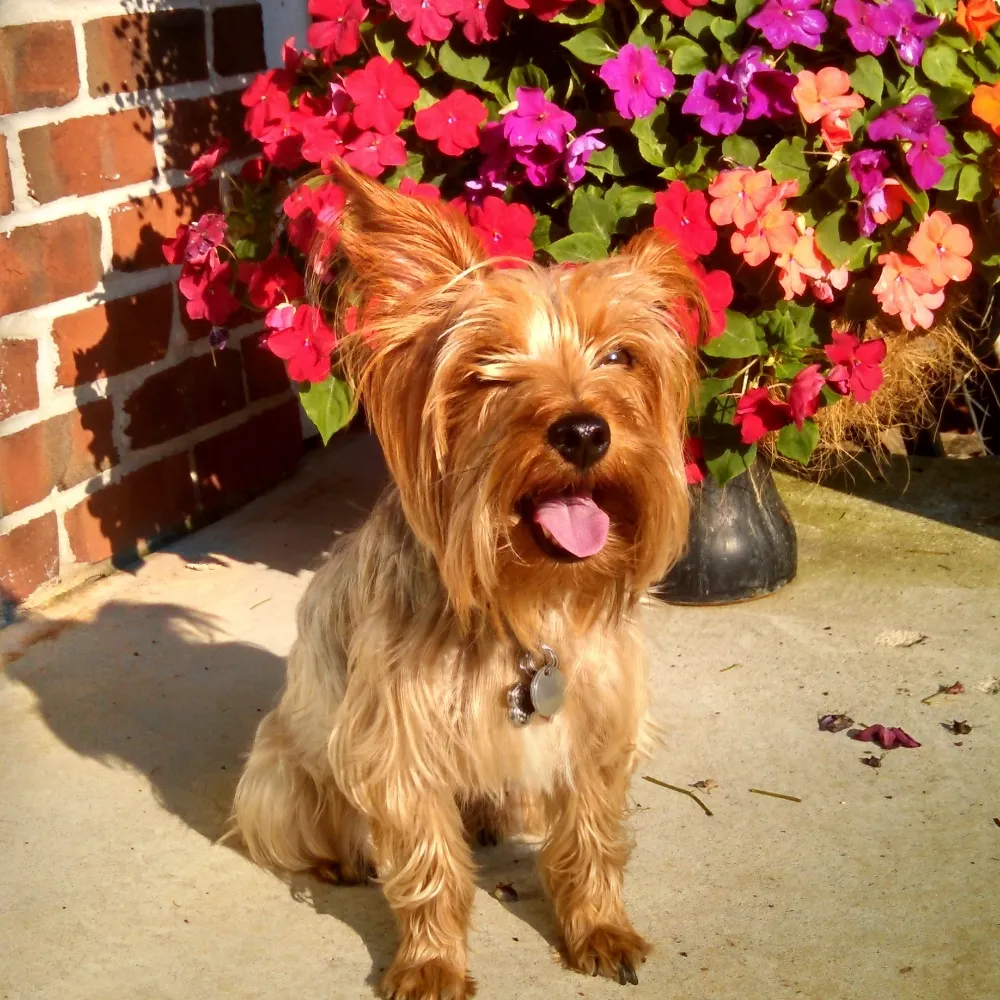 michelleflynn.bsky.social's profile picture