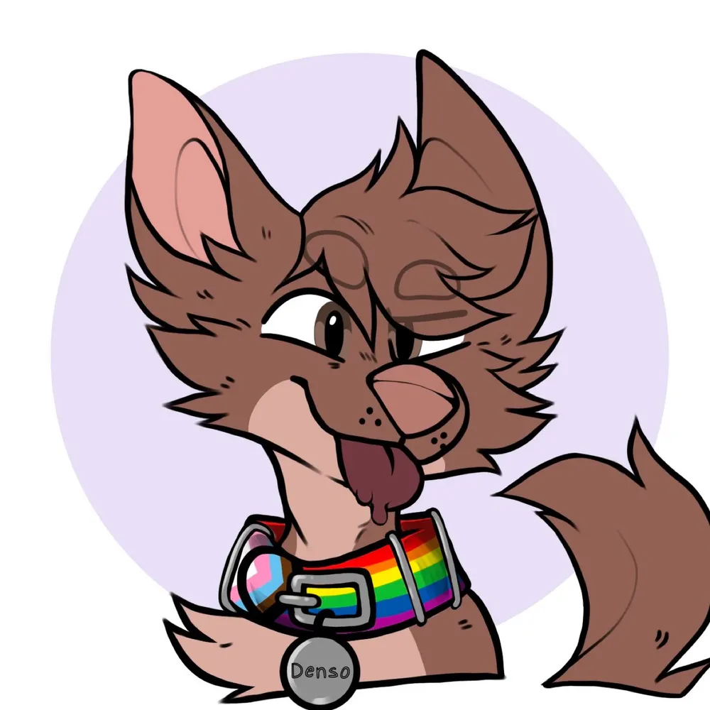 kattkake.bsky.social's profile picture