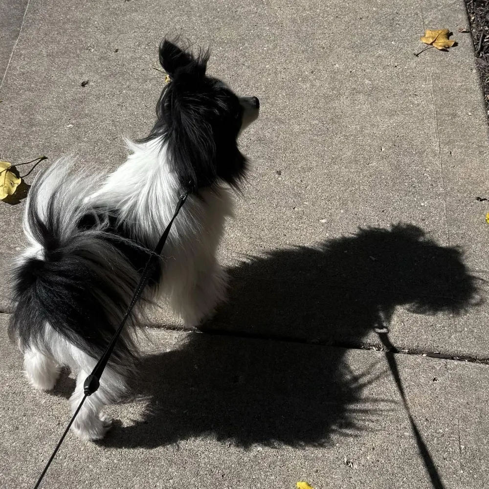 mrswendell.bsky.social's profile picture