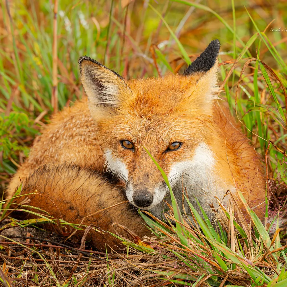 blathin384.bsky.social's profile picture