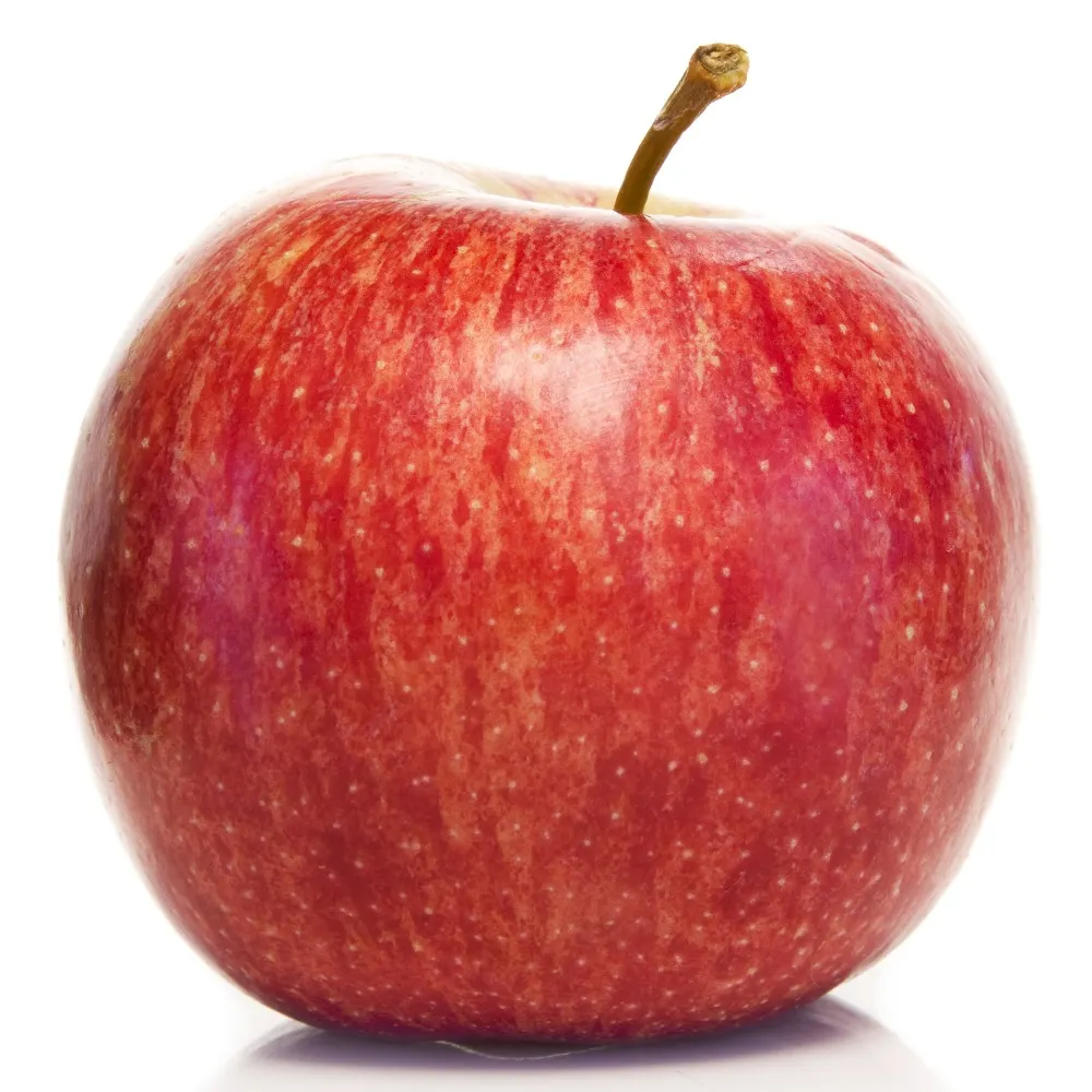 tom-grant.bsky.social's profile picture